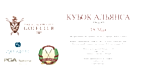 Кубок Альянса