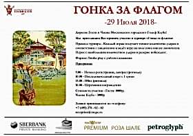 Турнир "Гонка за флагом"