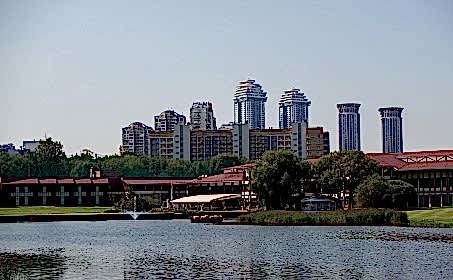 Regular Cup III
